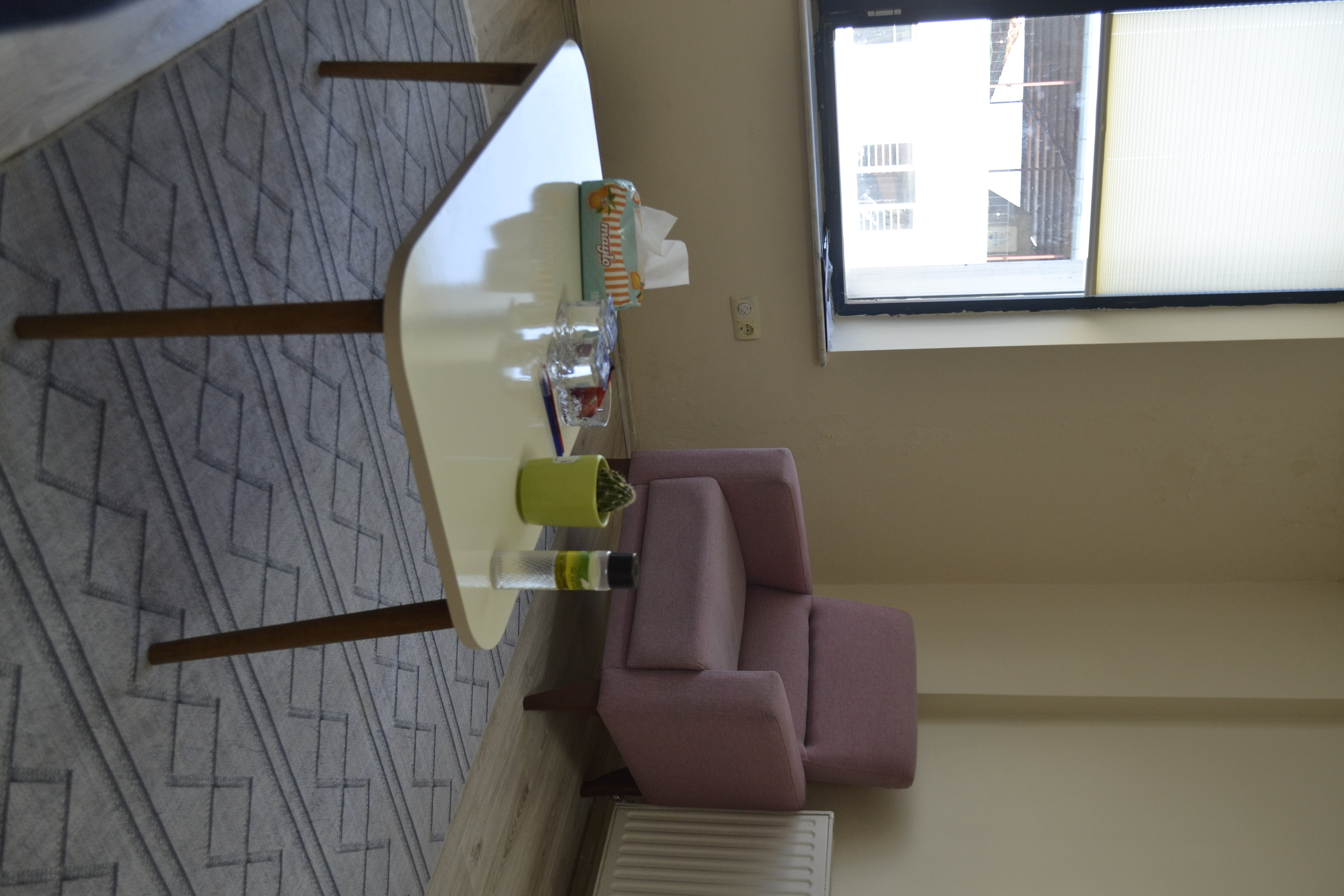 Osman Can, Uşak Can Psikoloji ofisinde çalışırken