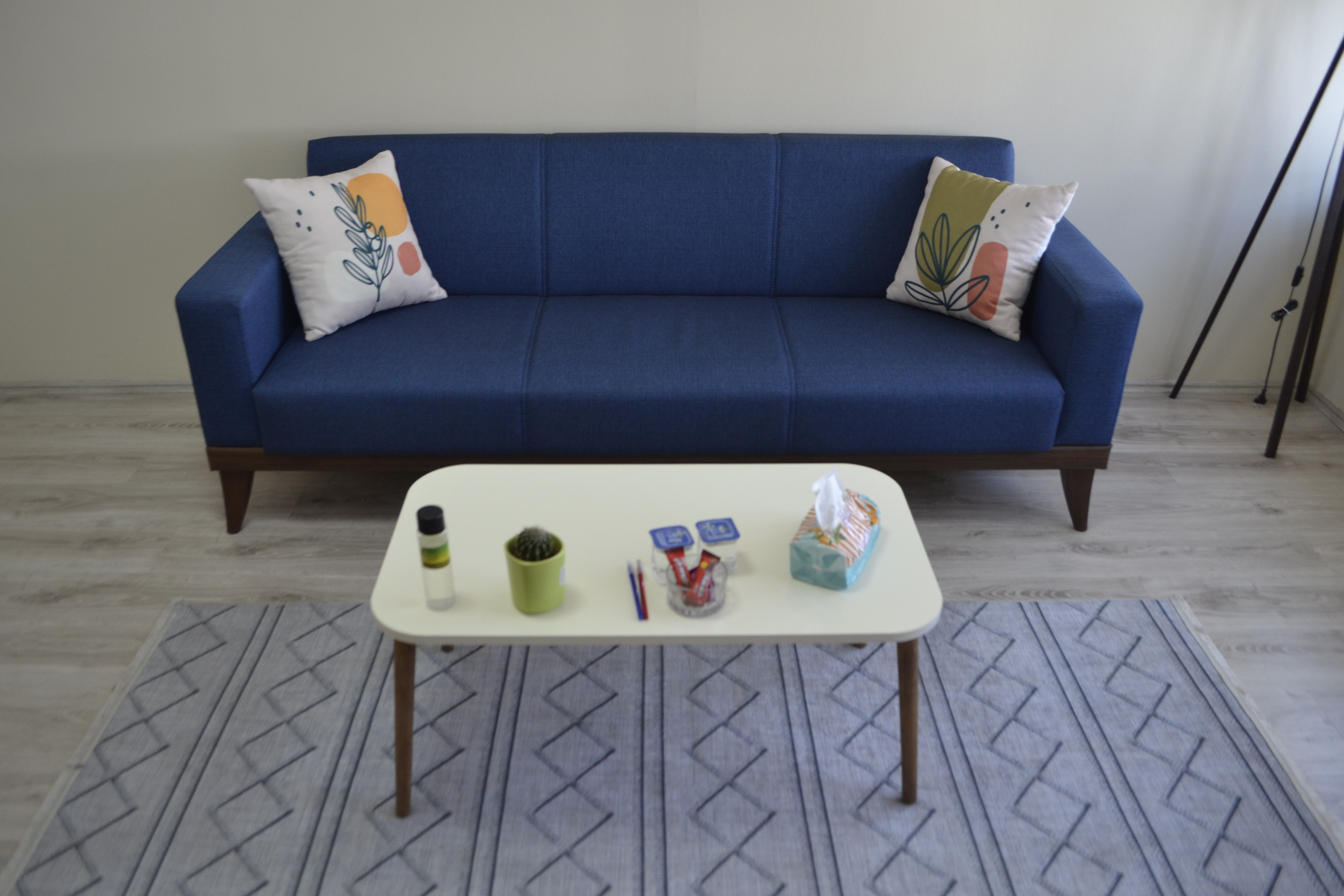 Uşak Can Psikoloji Terapi Odası - Ferah ve Aydınlık